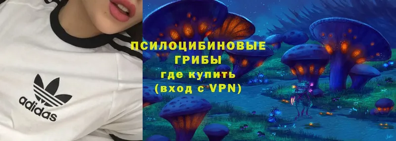 Галлюциногенные грибы Magic Shrooms  OMG   Медынь  где купить  